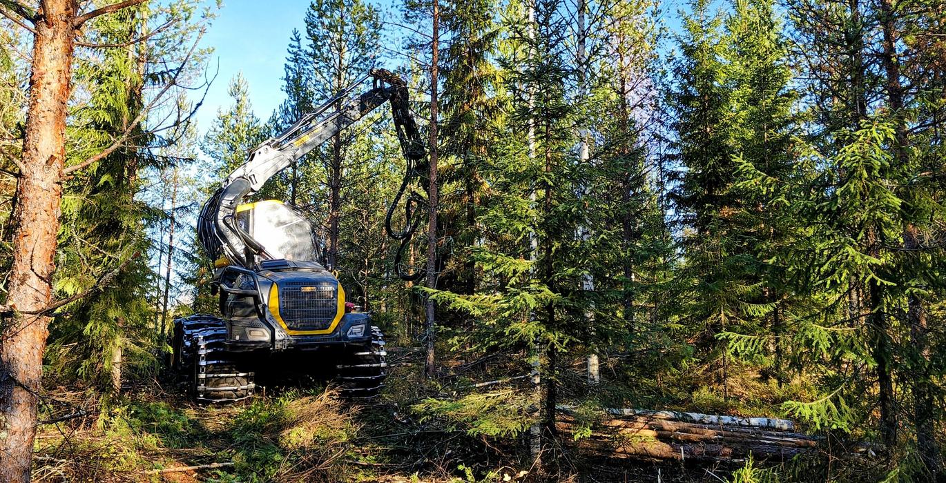 Mets&auml;kone harventaa kuusivaltaista mets&auml;&auml; auringon paisteessa Pohjois-Karjalassa.