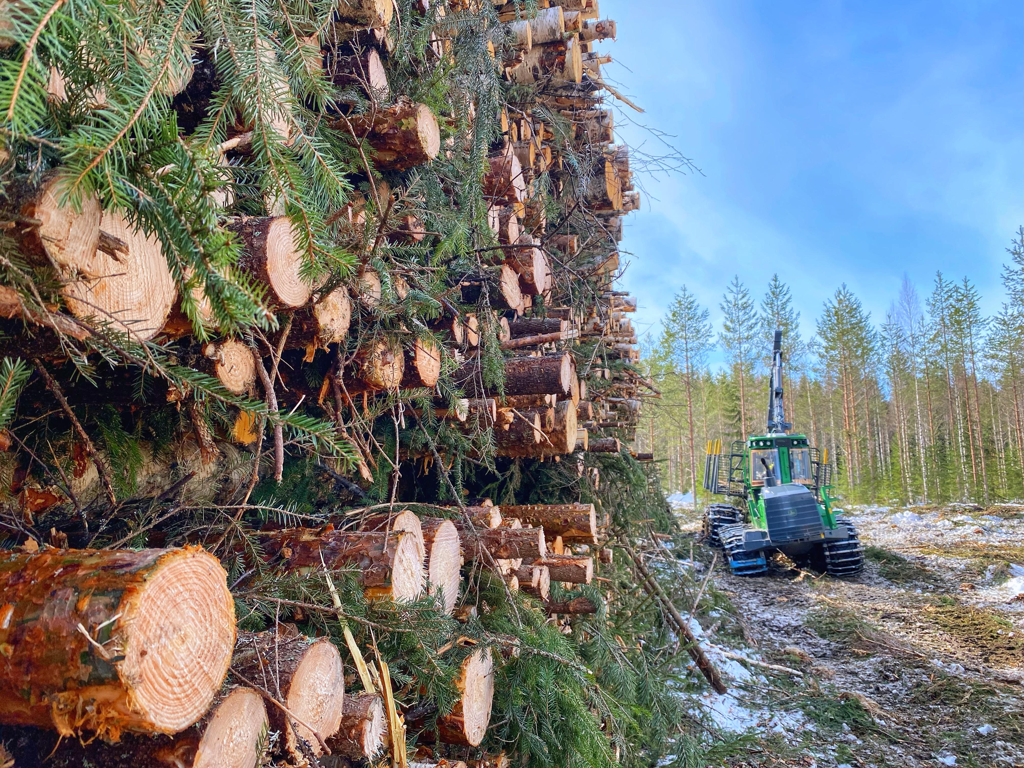 Talvinen metsä ja hakkuutyö käynnissä – puukauppa ja metsäkoneurakointi Pohjois-Karjalassa.