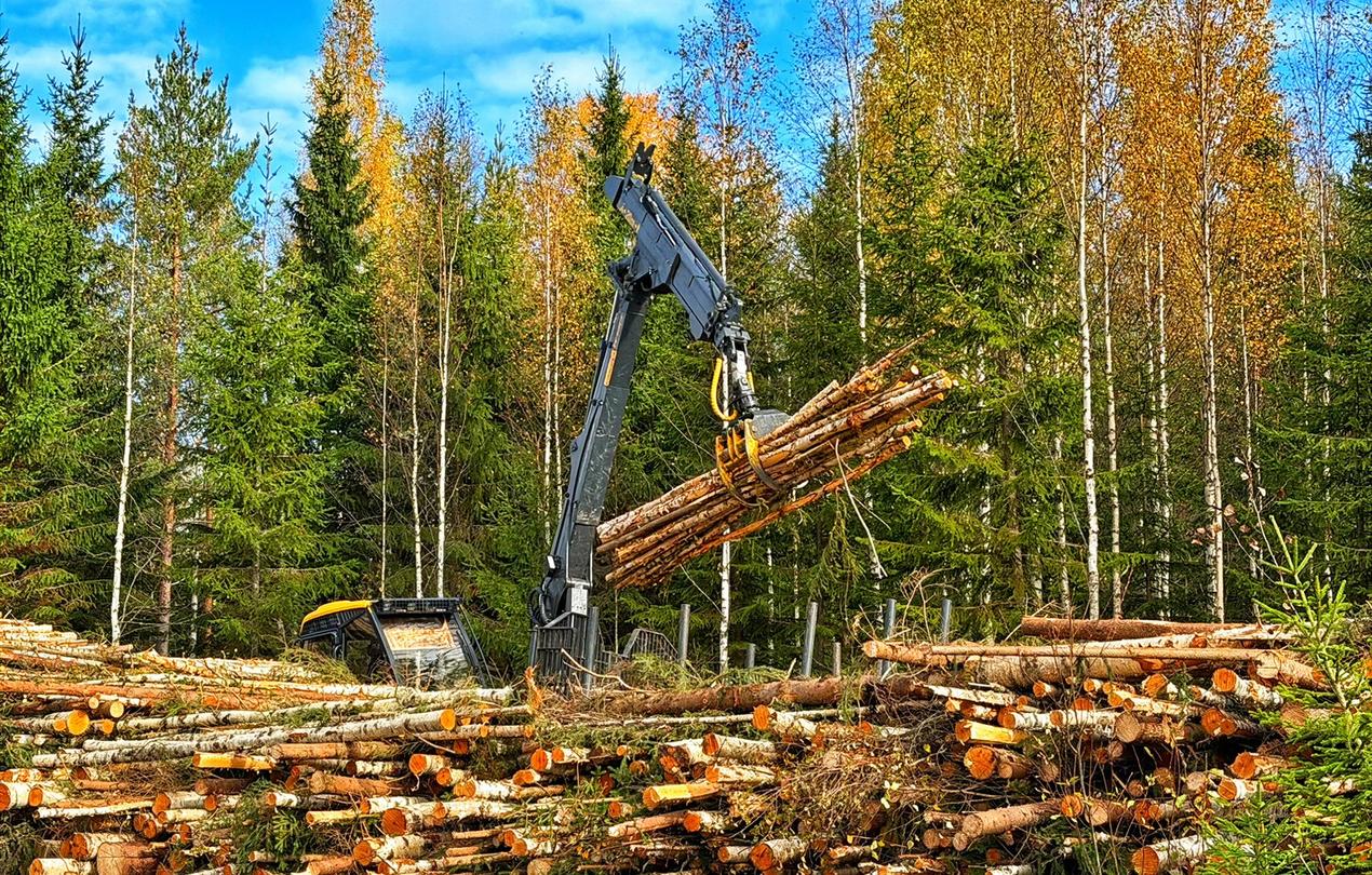 Puutavaraa pinottuna metsäautotien varrella talvisessa metsämaisemassa.