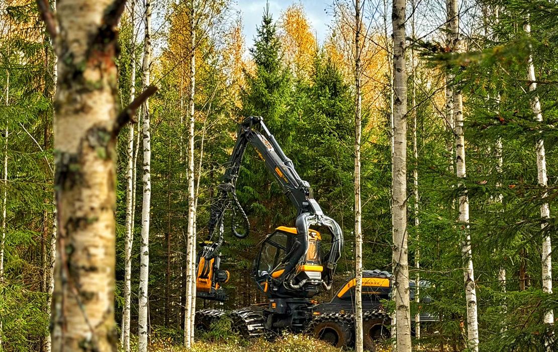 Mets&auml;kone syksyisess&auml; mets&auml;maisemassa ensiharvennusty&ouml;maalla.