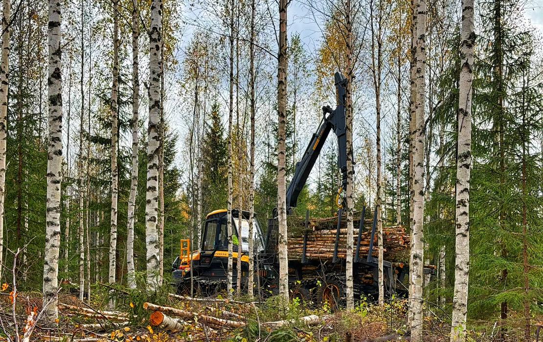 Mets&auml;kone syksyisess&auml; mets&auml;maisemassa lastaamassa puuta kyytiin.