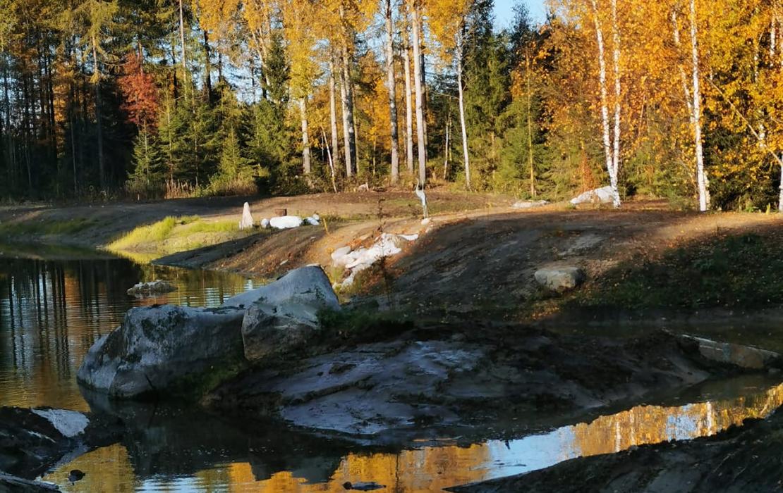 Syksyinen maisema, jossa n&auml;kyy rakennettu kosteikko ja kirkkaasti heijastuva lampi.